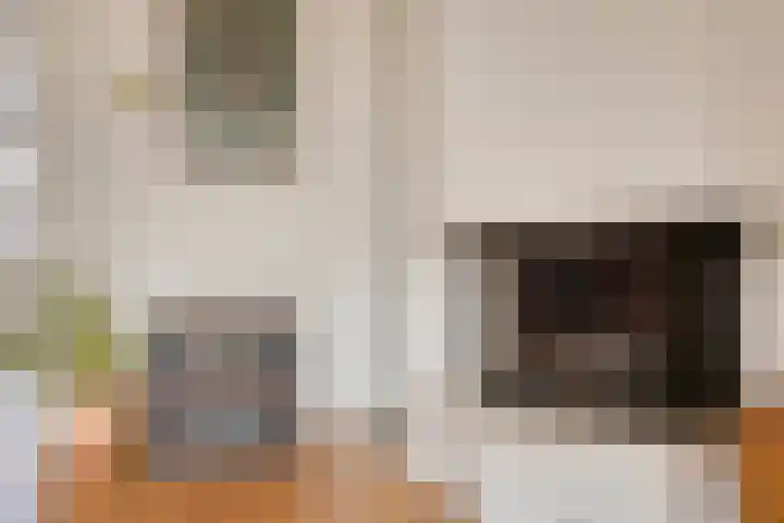 Dokter Perquinstraat 17 Leidschendam thumbnail 25