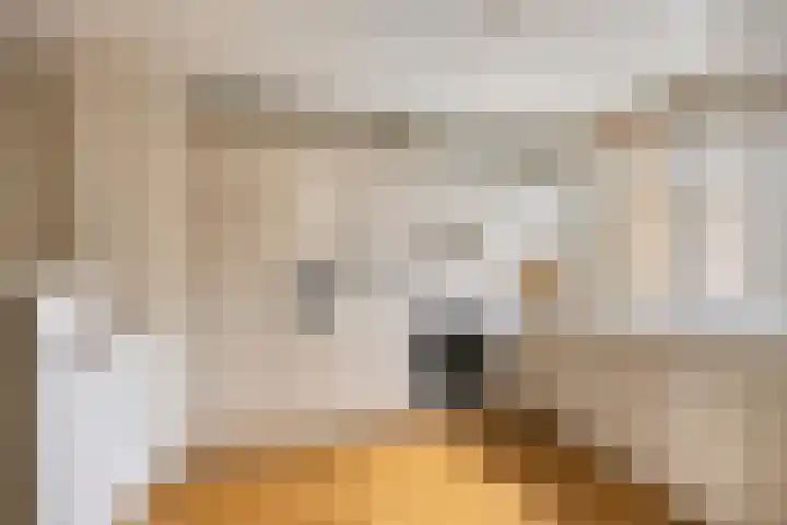 Dokter Perquinstraat 17 Leidschendam thumbnail 26