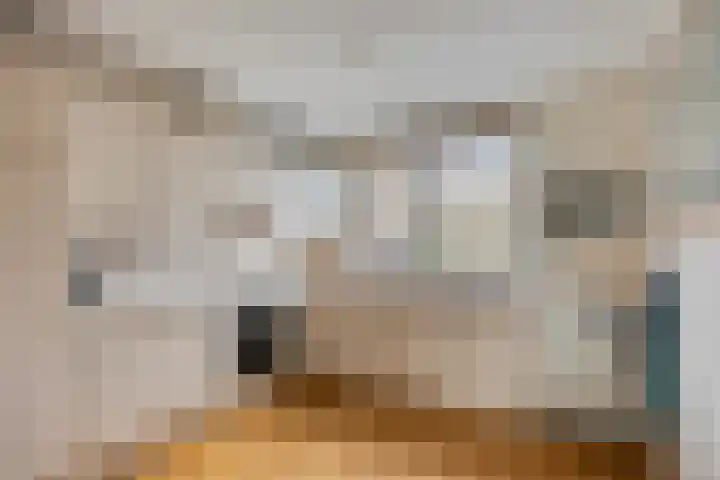 Dokter Perquinstraat 17 Leidschendam thumbnail 27