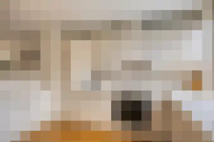 Dokter Perquinstraat 17 Leidschendam thumbnail 28