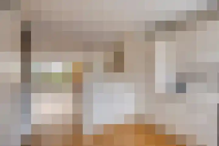 Dokter Perquinstraat 17 Leidschendam thumbnail 29