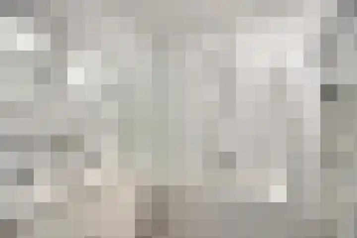 Dokter Perquinstraat 17 Leidschendam thumbnail 34