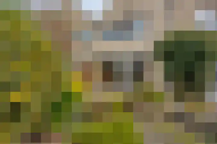Dokter Perquinstraat 17 Leidschendam thumbnail 5