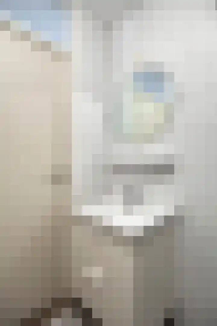 Dokter Perquinstraat 17 Leidschendam thumbnail 50