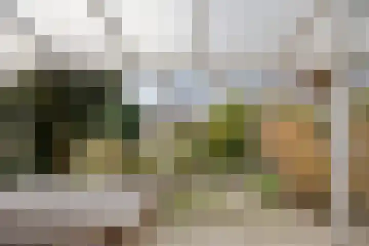 Dokter Perquinstraat 17 Leidschendam thumbnail 57
