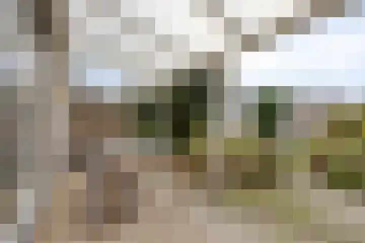 Dokter Perquinstraat 17 Leidschendam thumbnail 58
