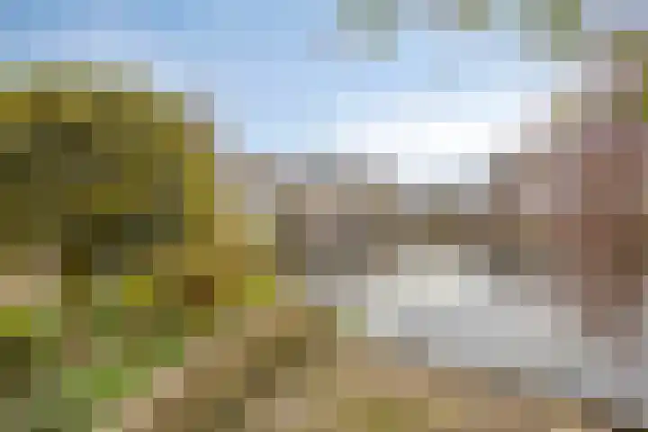 Dokter Perquinstraat 17 Leidschendam thumbnail 60