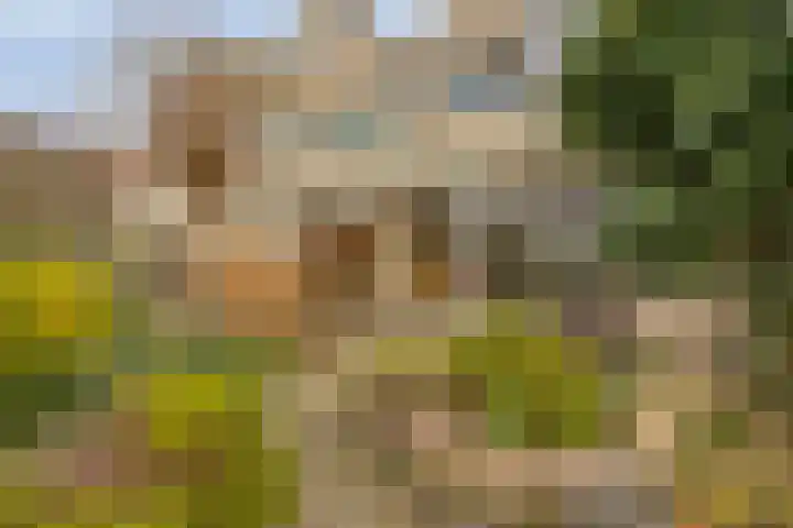 Dokter Perquinstraat 17 Leidschendam thumbnail 63