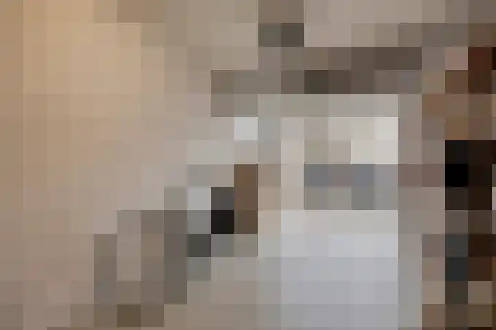 Dokter Perquinstraat 17 Leidschendam thumbnail 67