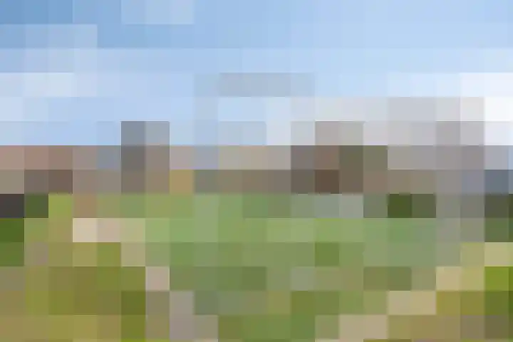 Dokter Perquinstraat 17 Leidschendam thumbnail 69