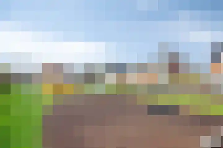 Dokter Perquinstraat 17 Leidschendam thumbnail 70
