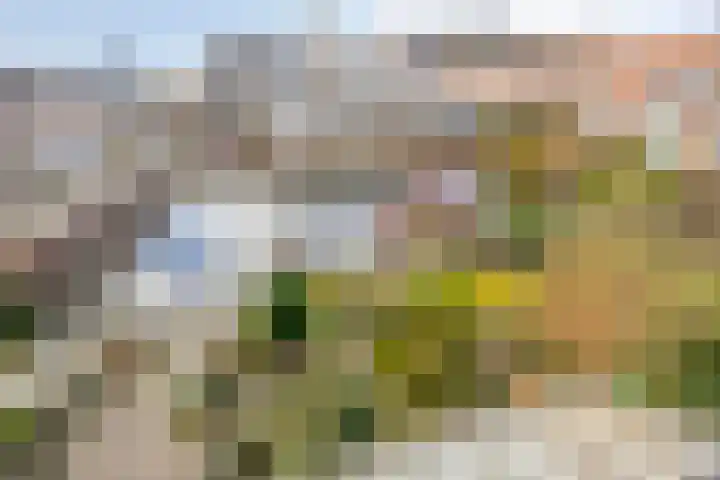 Dokter Perquinstraat 17 Leidschendam thumbnail 75
