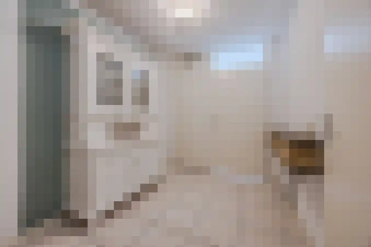 Dokter Perquinstraat 40 Leidschendam thumbnail 12