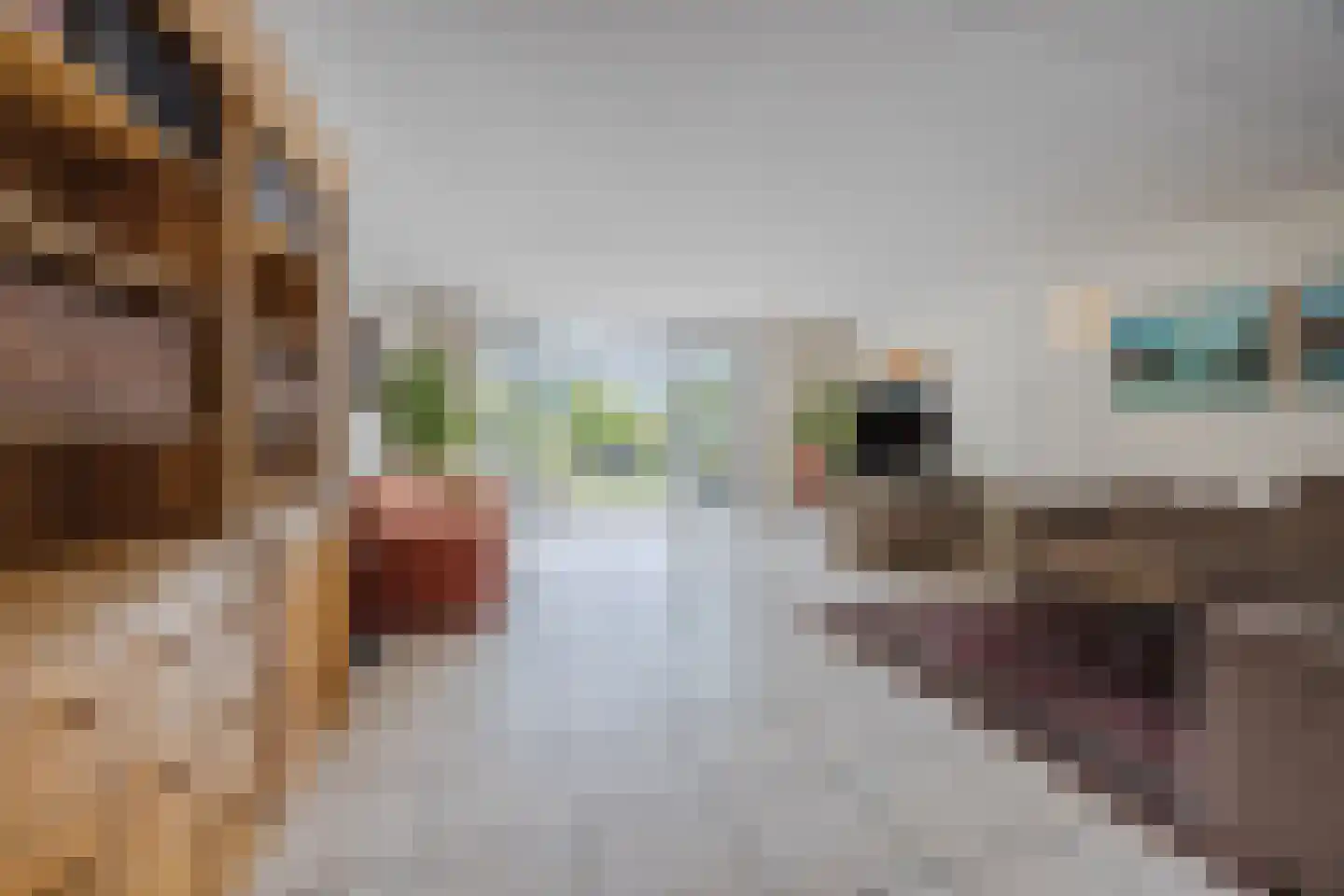 Dokter Perquinstraat 40 Leidschendam thumbnail 13