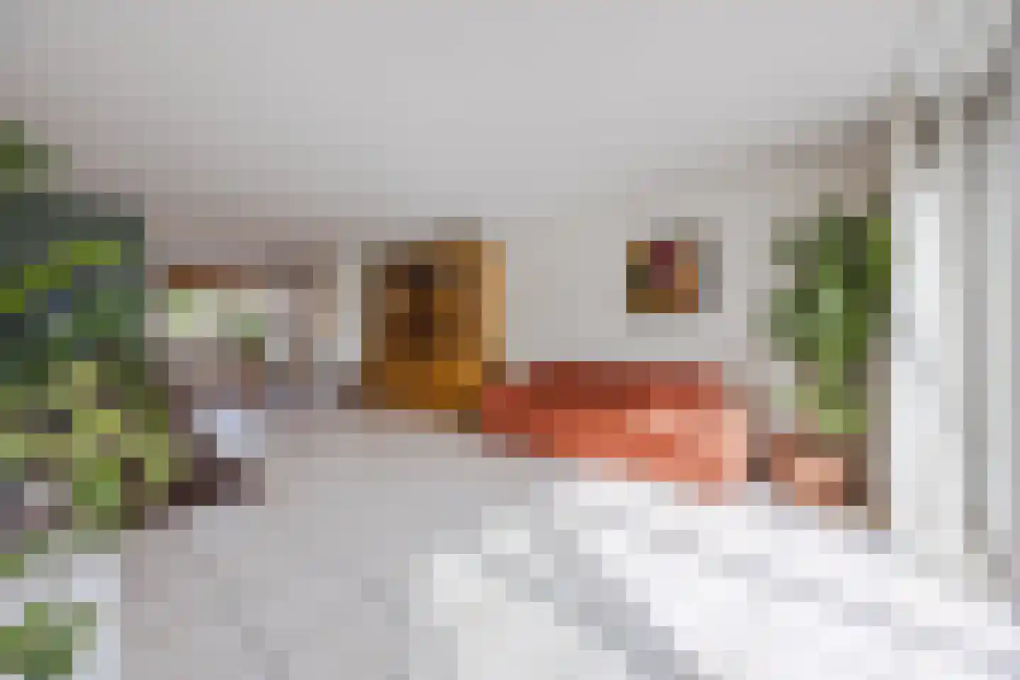 Dokter Perquinstraat 40 Leidschendam thumbnail 16