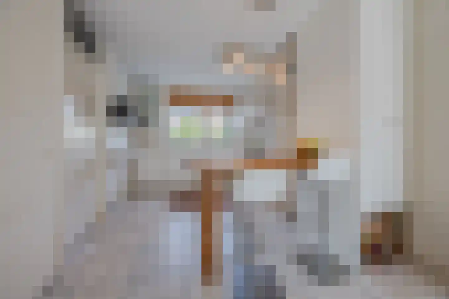 Dokter Perquinstraat 40 Leidschendam thumbnail 17