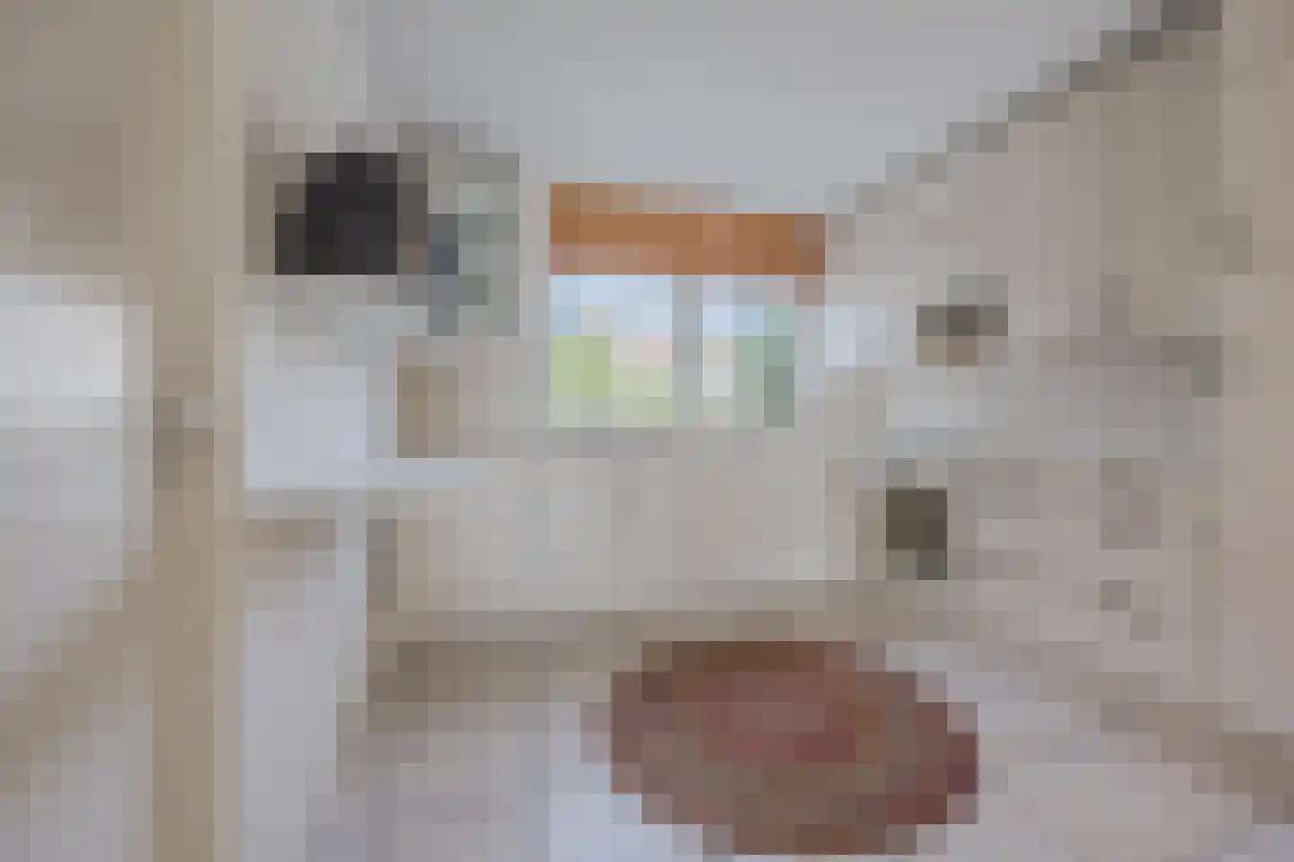 Dokter Perquinstraat 40 Leidschendam thumbnail 18