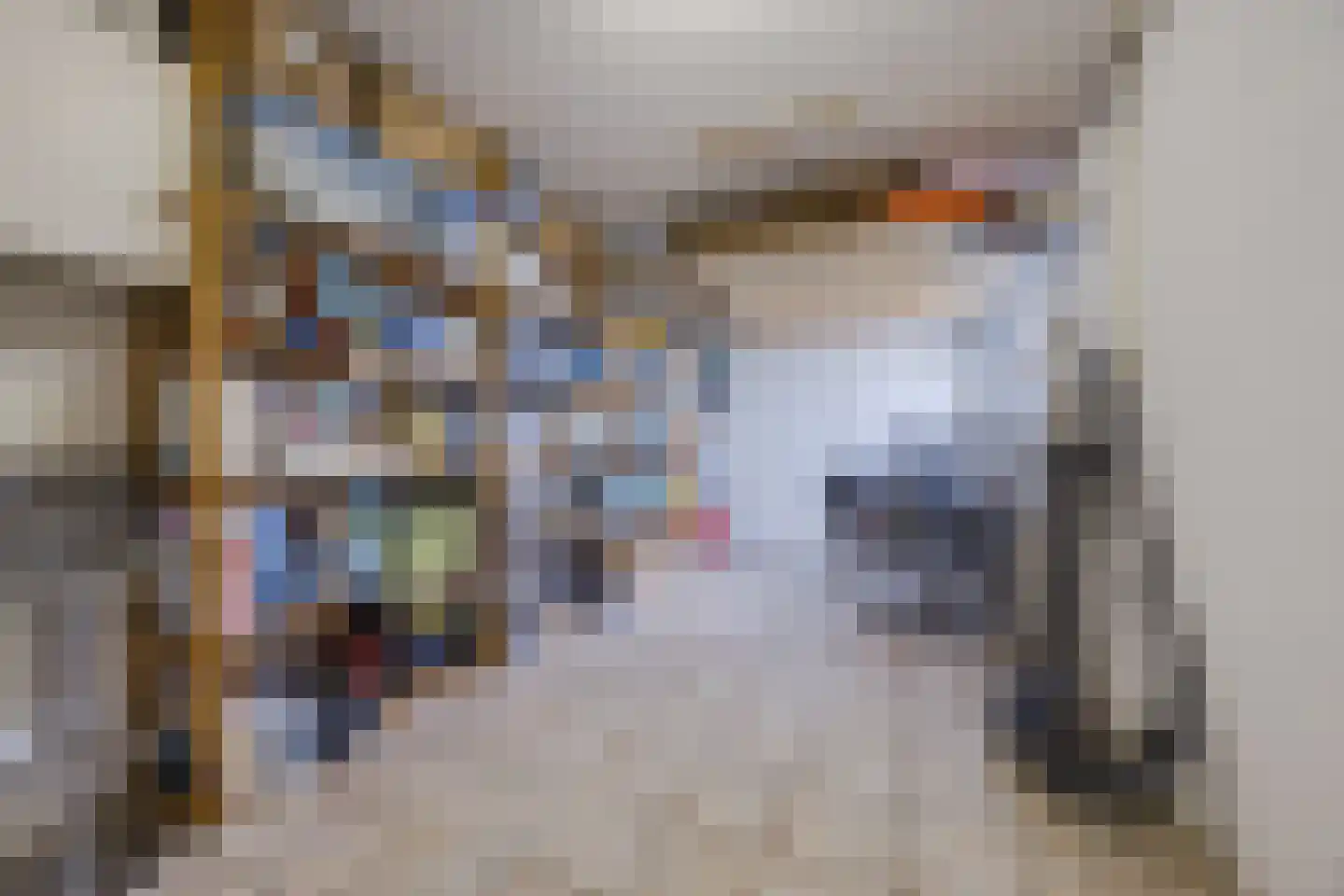 Dokter Perquinstraat 40 Leidschendam thumbnail 19