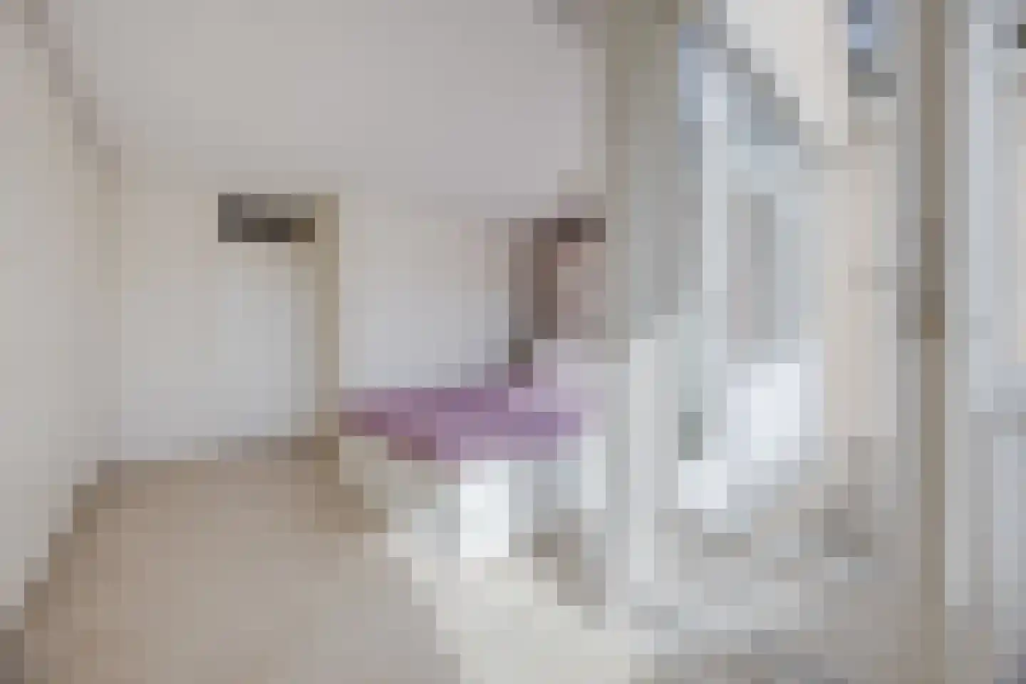 Dokter Perquinstraat 40 Leidschendam thumbnail 23