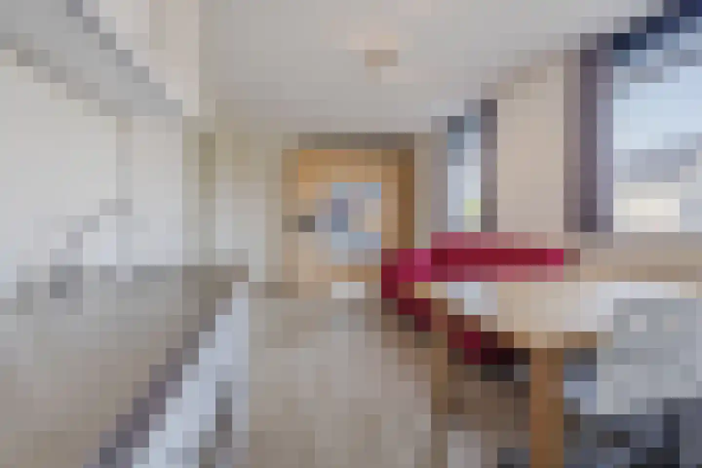 Dokter Perquinstraat 40 Leidschendam thumbnail 28
