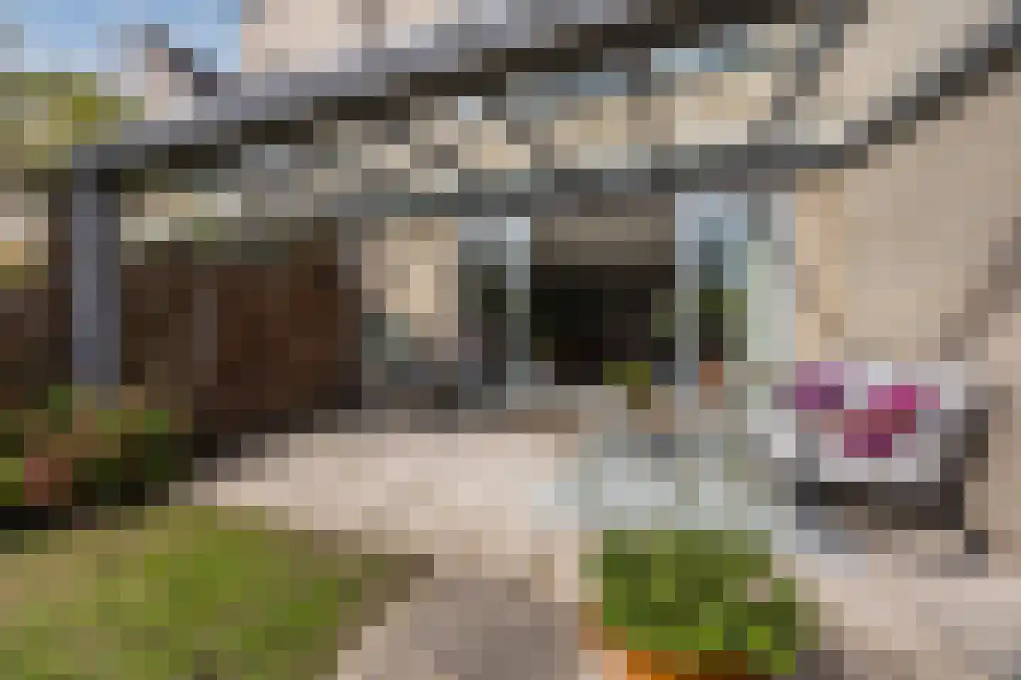 Dokter Perquinstraat 40 Leidschendam thumbnail 42