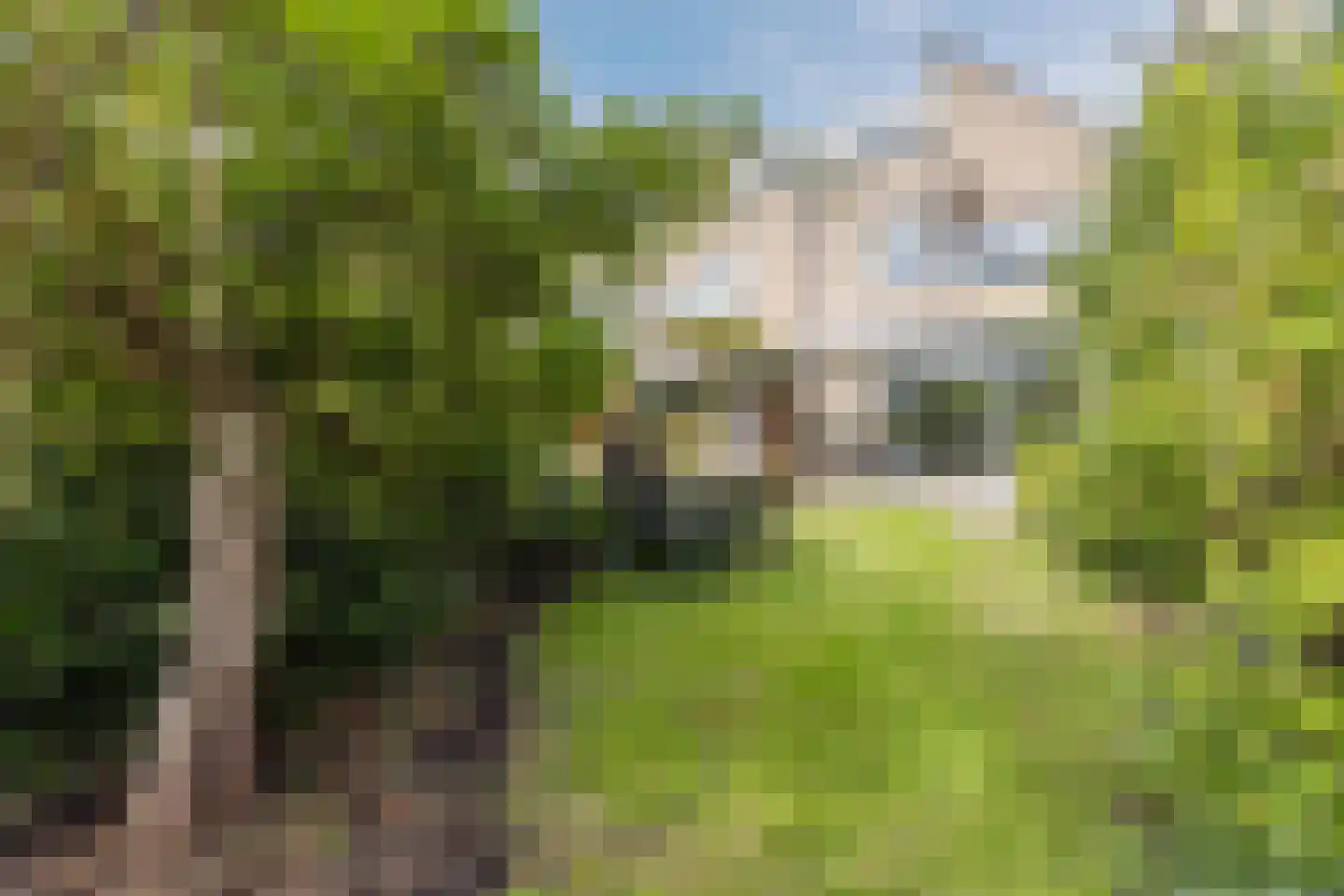 Dokter Perquinstraat 40 Leidschendam thumbnail 43