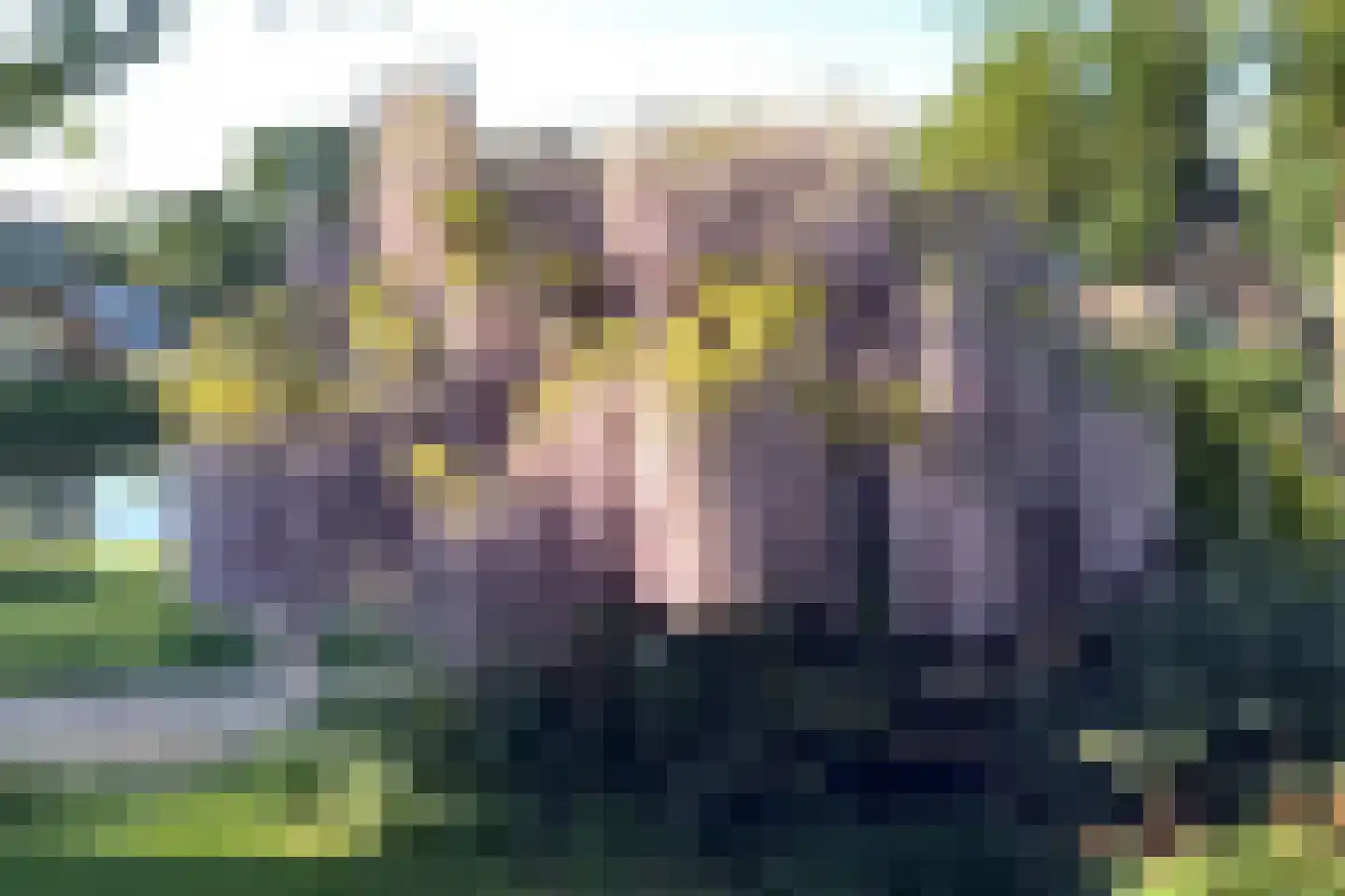 Dokter Perquinstraat 40 Leidschendam thumbnail 44