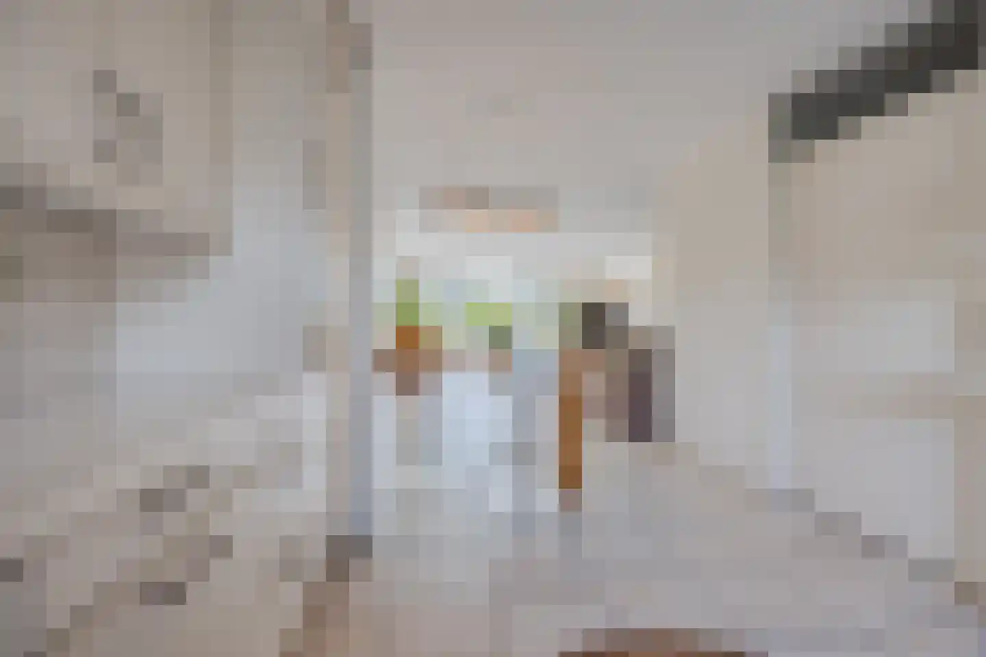 Dokter Perquinstraat 40 Leidschendam thumbnail 7