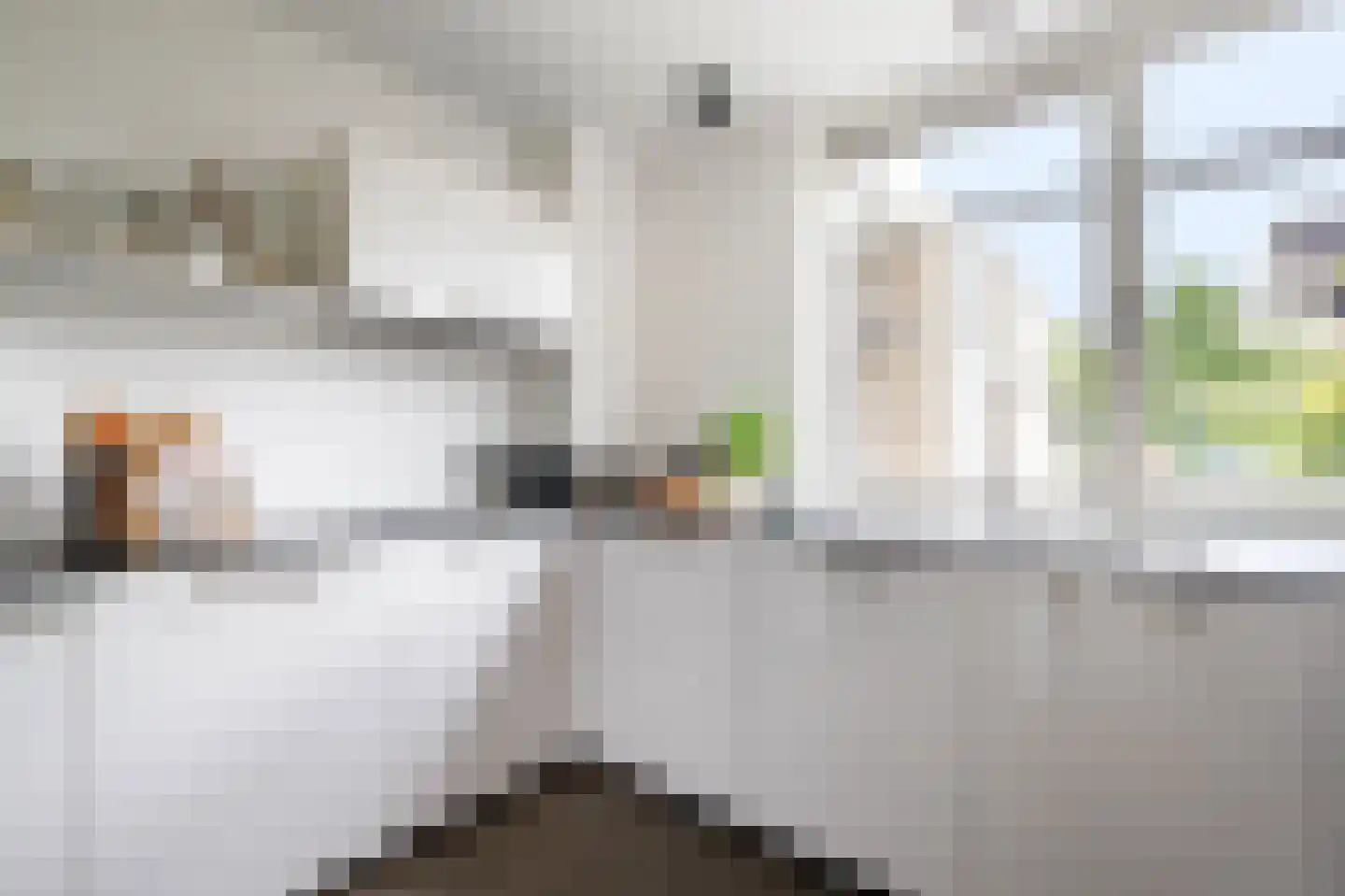 Dokter Perquinstraat 8 Leidschendam thumbnail 14
