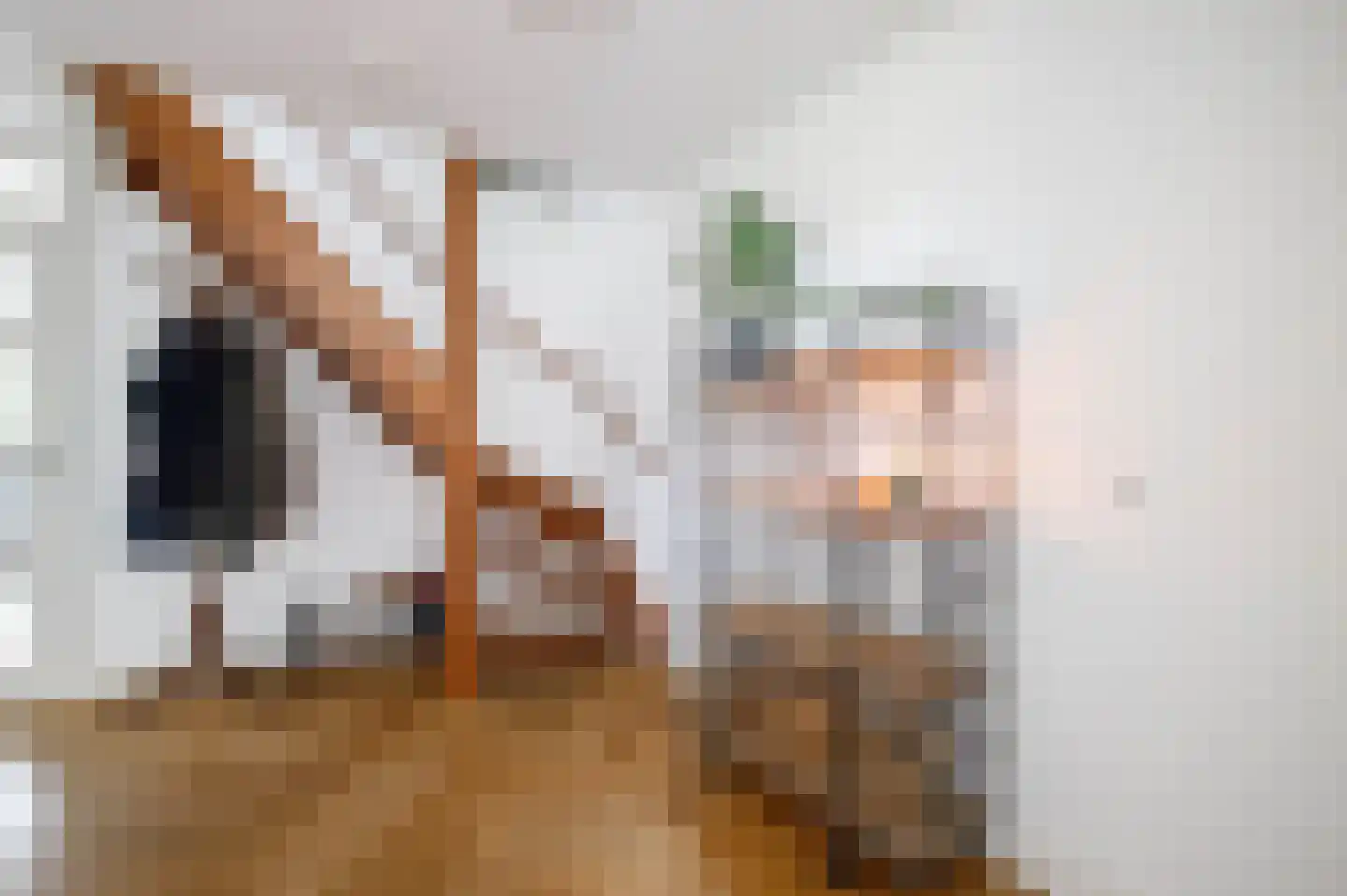 Dokter Perquinstraat 8 Leidschendam thumbnail 21