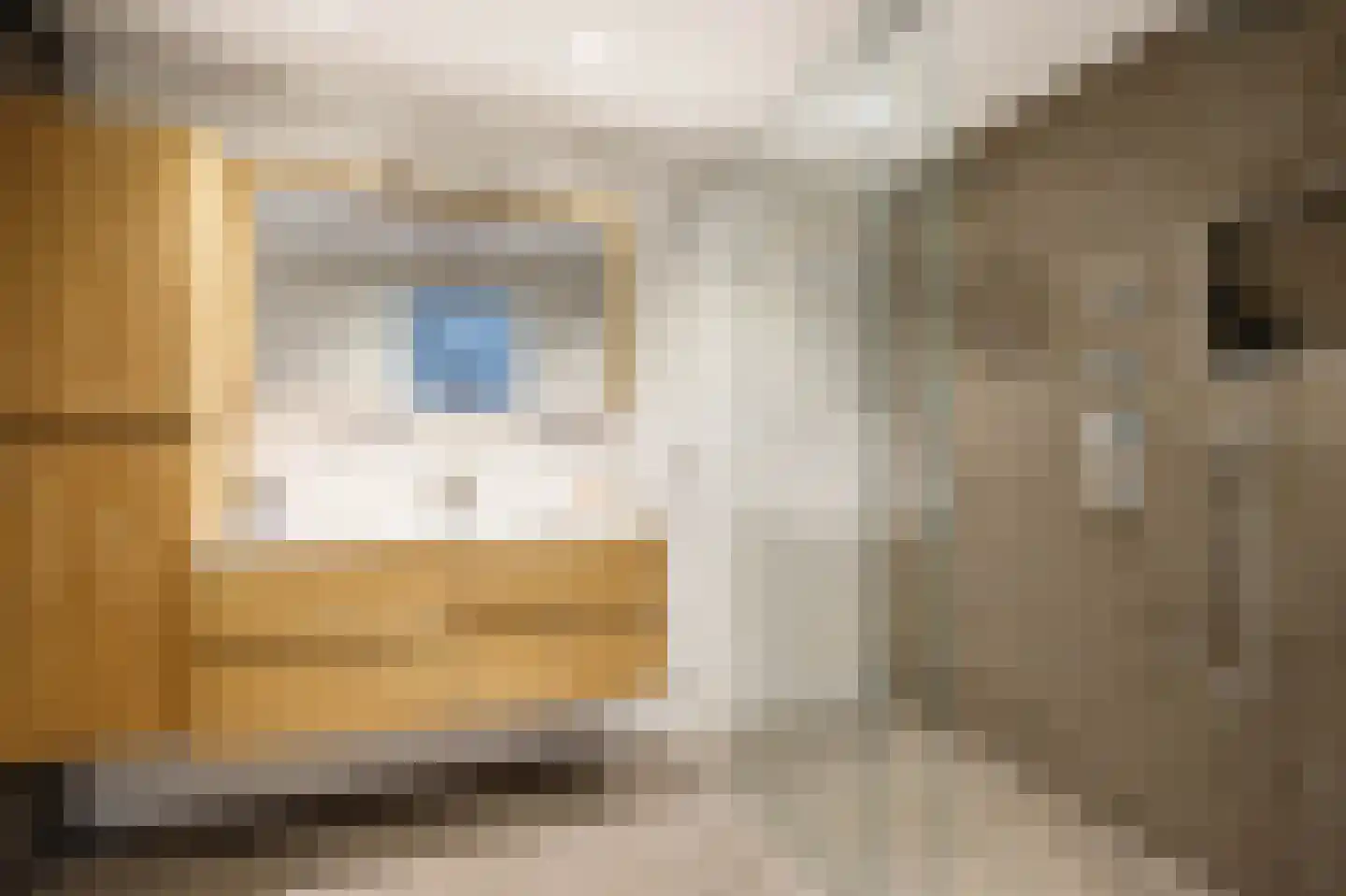 Dokter Perquinstraat 8 Leidschendam thumbnail 30