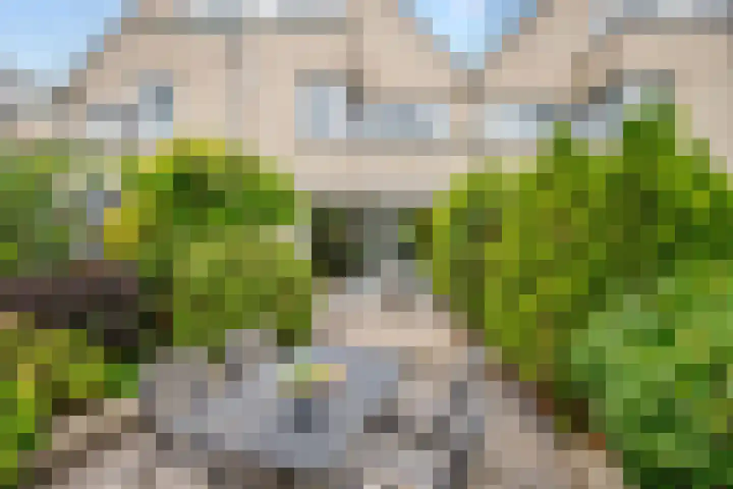 Dokter Perquinstraat 8 Leidschendam thumbnail 46