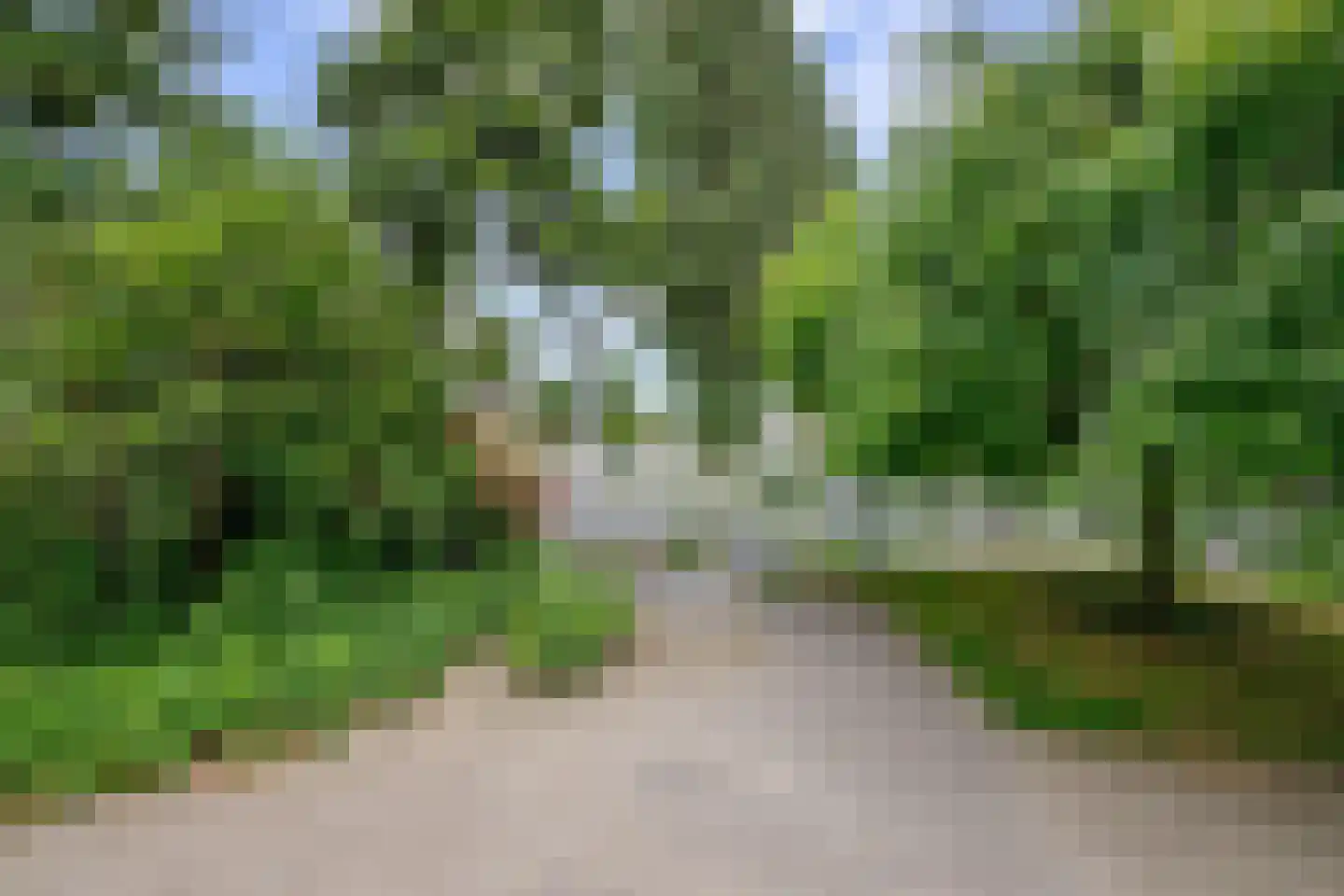 Dokter Perquinstraat 8 Leidschendam thumbnail 55