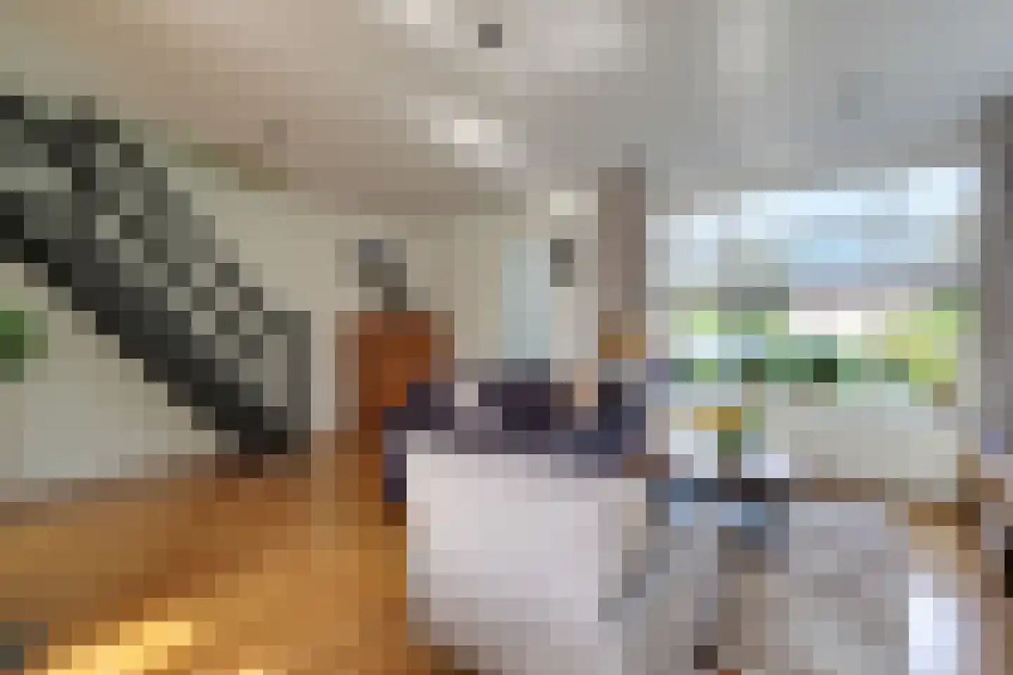 Dokter Pinxterplantsoen 1 Wervershoof thumbnail 13