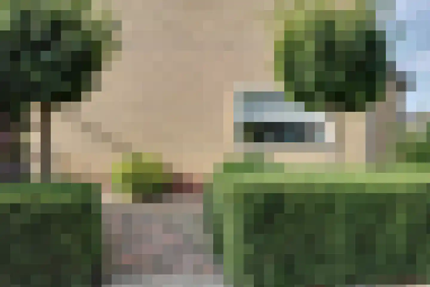 Dokter Pinxterplantsoen 1 Wervershoof thumbnail 31