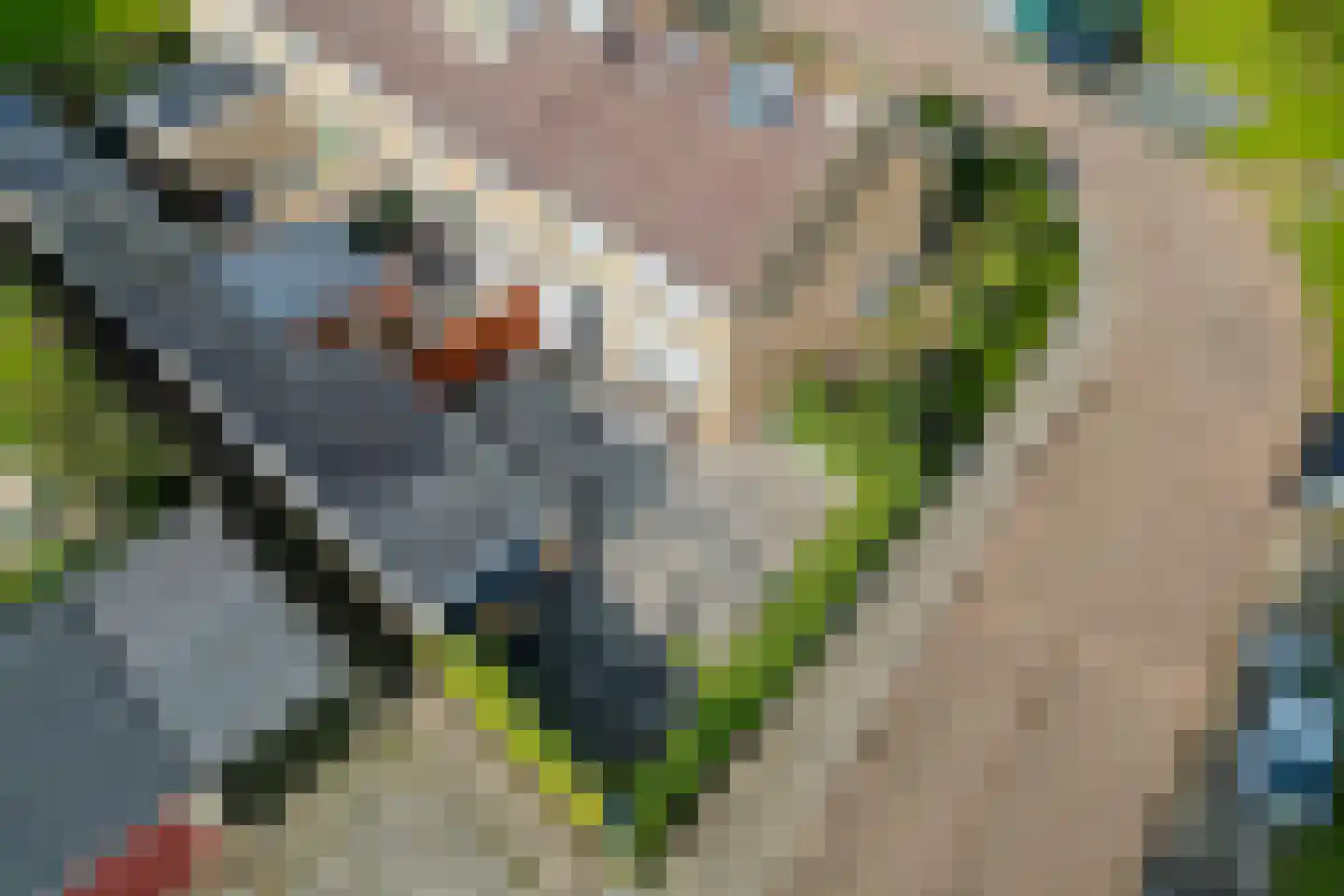 Dokter Pinxterplantsoen 1 Wervershoof thumbnail 34