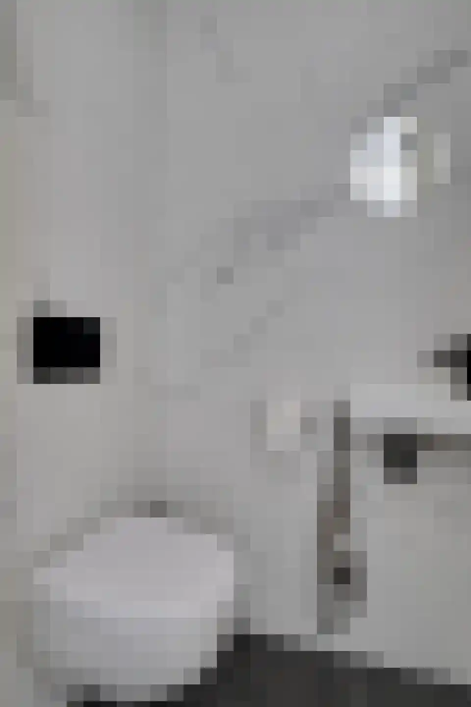 Dokter Pinxterplantsoen 1 Wervershoof thumbnail 9