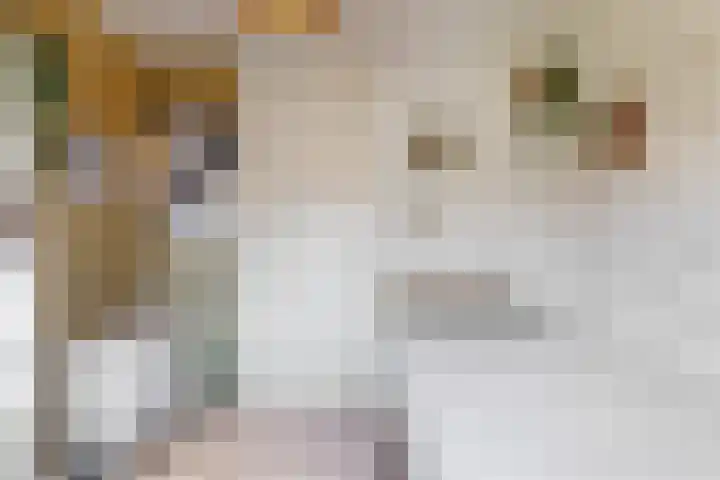Dokter Pinxterplantsoen 31 Wervershoof thumbnail 15