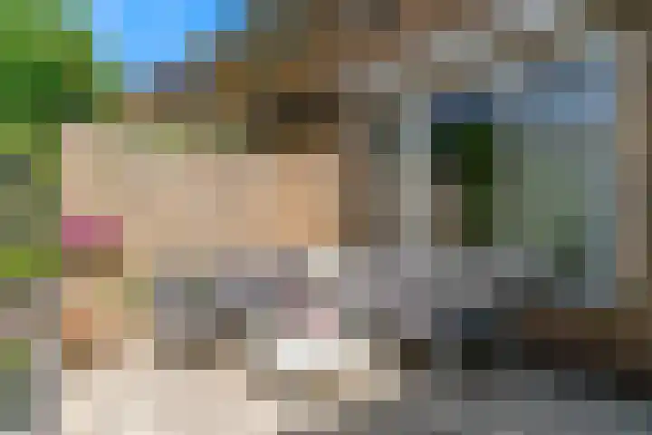 Dokter Pinxterplantsoen 31 Wervershoof thumbnail 26