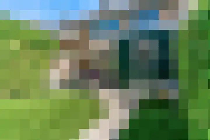 Dokter Pinxterplantsoen 31 Wervershoof thumbnail 28
