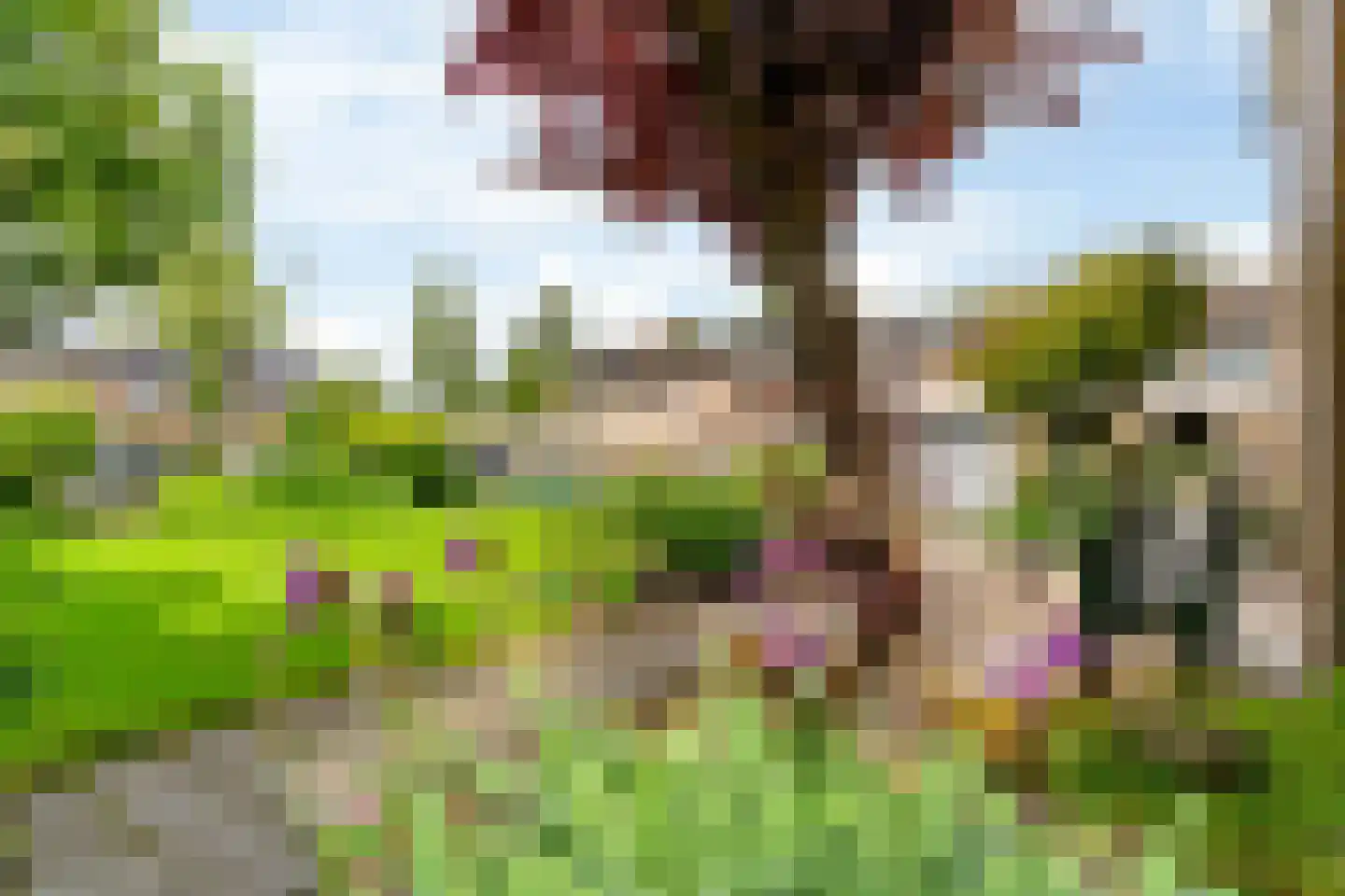 Dokter Pinxterplantsoen 41 Wervershoof thumbnail 36