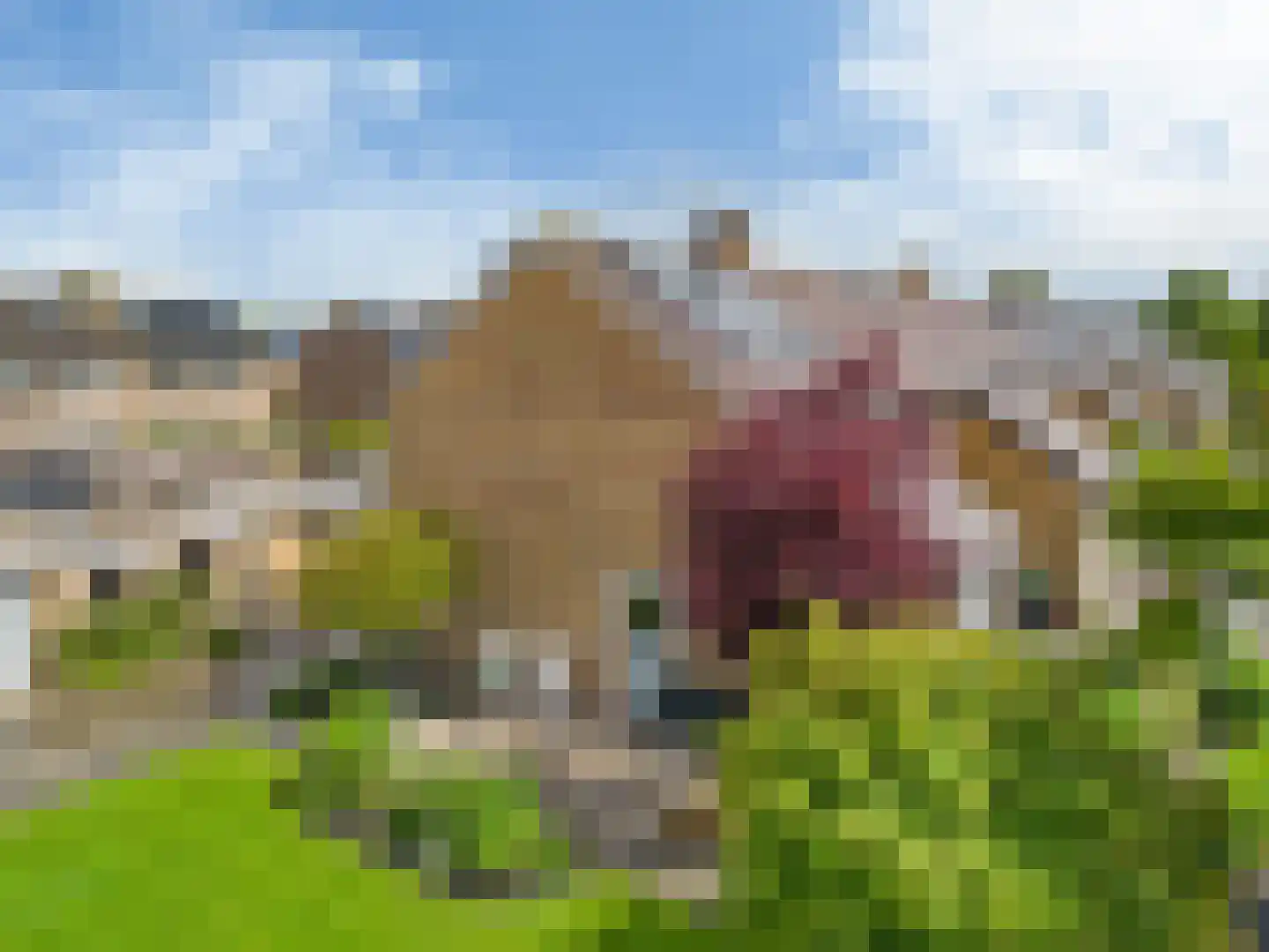 Dokter Pinxterplantsoen 41 Wervershoof thumbnail 37