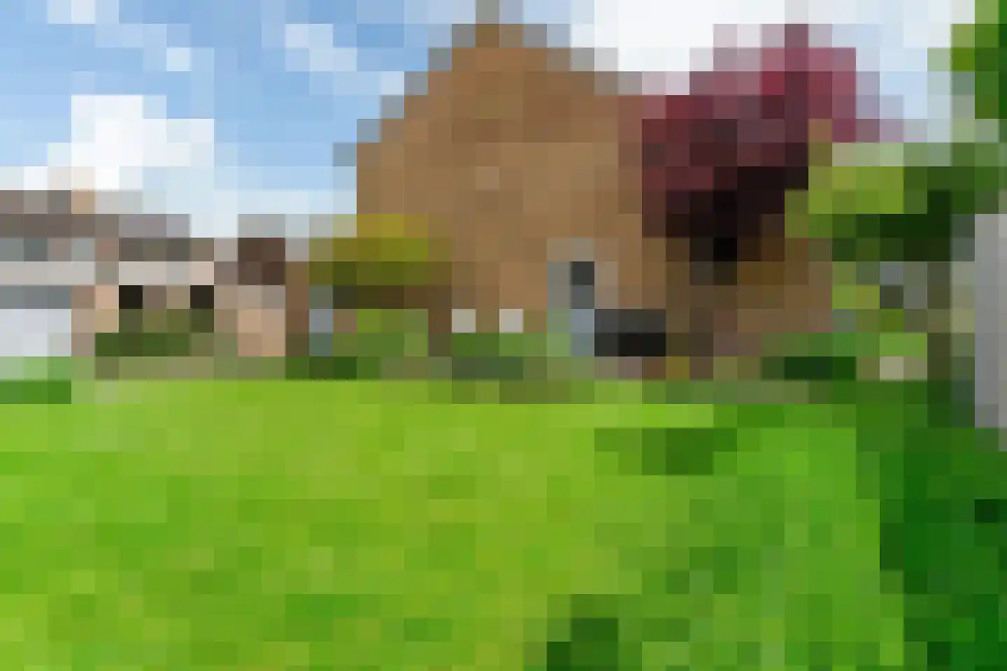 Dokter Pinxterplantsoen 41 Wervershoof thumbnail 38