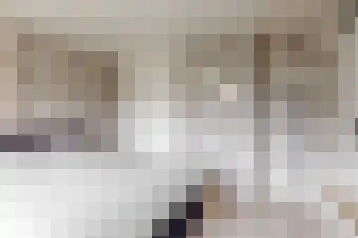 Dokter Pinxterplantsoen 43 Wervershoof thumbnail 16