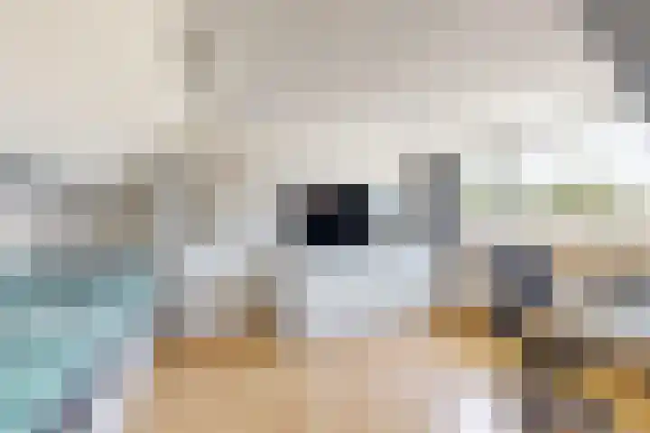 Dokter Pinxterplantsoen 43 Wervershoof thumbnail 25