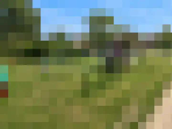Dokter Pinxterplantsoen 43 Wervershoof thumbnail 32