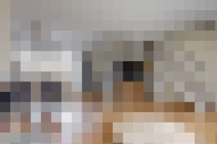Dokter Pinxterplantsoen 43 Wervershoof thumbnail 7