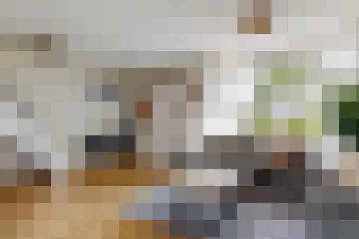 Dokter Pinxterplantsoen 43 Wervershoof thumbnail 9
