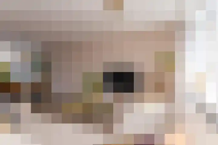 Dokter Pinxterplantsoen 53 Wervershoof thumbnail 10