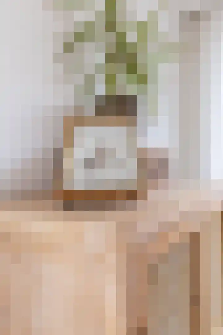 Dokter Pinxterplantsoen 53 Wervershoof thumbnail 17